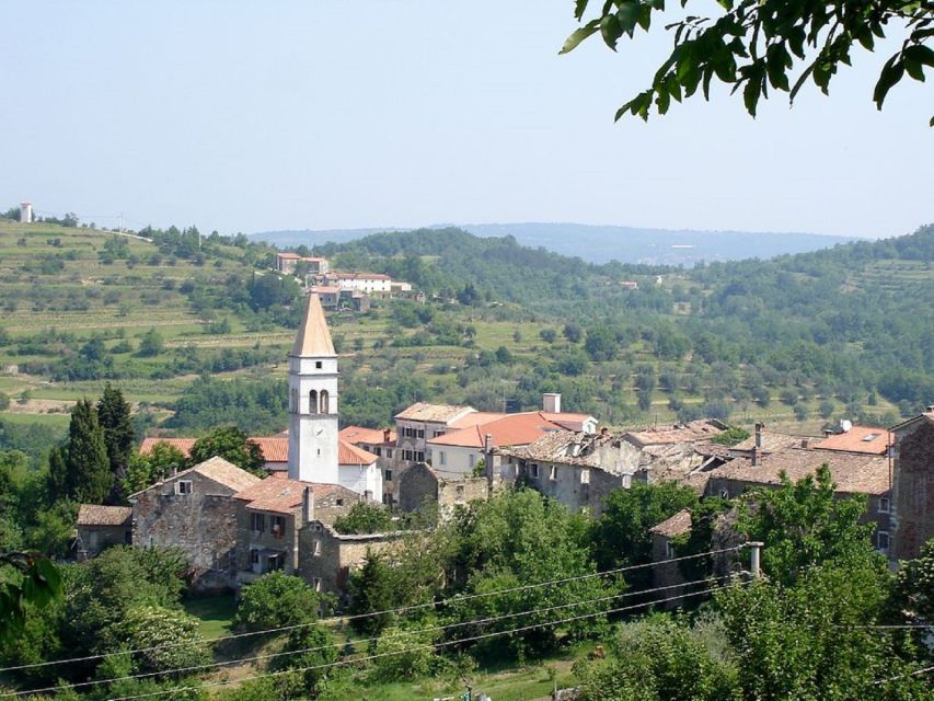 Trieste: Flavors of Istria Tour to Hum, Grožnjan, & Motovun - Itinerary Highlights