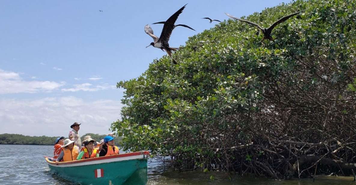 Tumbes: Mangrove National Sanctuary - Reservation, Pricing, and Location