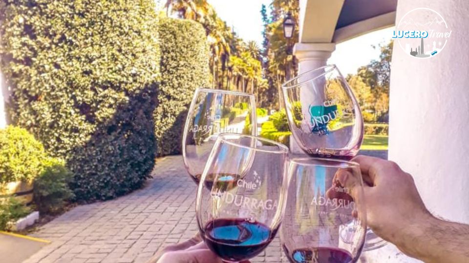 Undurraga Vineyard - Booking Details for Undurraga Vineyard