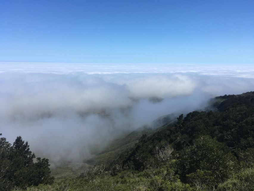 UNESCO Reserve and National Park "Fray Jorge Forest" - Good To Know