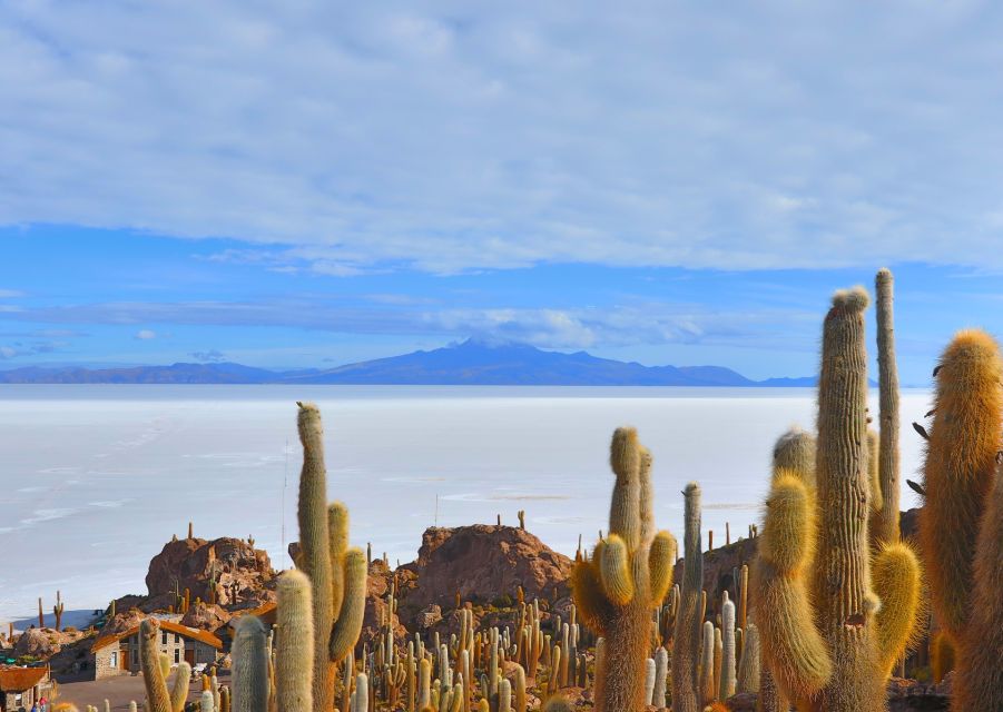 Uyuni Salt Flats and Red Lagoon 3-Days English in Guide - Booking Information