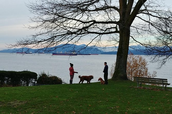 Vancouver City Highlights Explorer Private Tour - Pricing