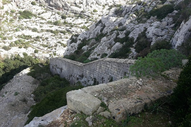 Victoria Lines Tour - Good To Know