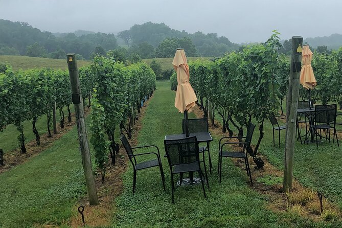 Virginia Winery Excursion By Luxury Vehicle - Good To Know