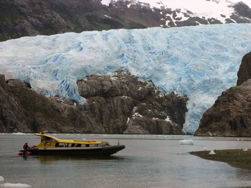 Whales, Penguins & Glaciers Navigation From Punta Arenas - Booking Information