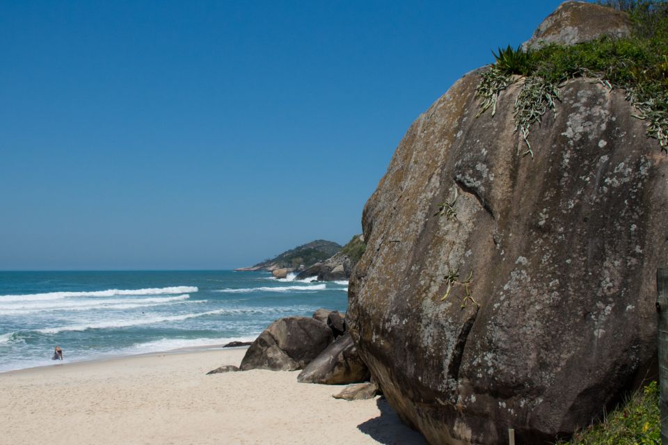 Wild Beaches and Brazilian Rum Farm With a Photographer