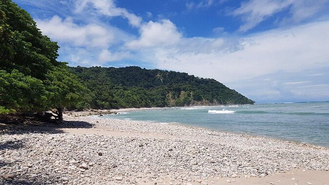 Wildlife Adventure Awaits in Cabo Blanco Park - Wildlife Spotting Opportunities