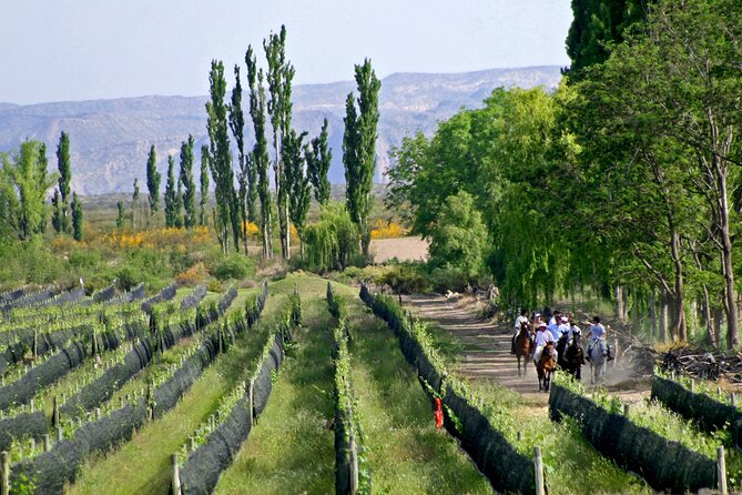 Wine Paths - Tour Details