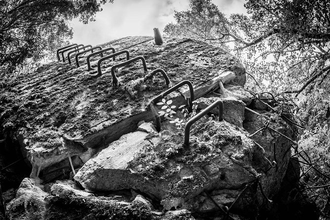 Wolfs Lair and St. Lipka Private Tour From Gdansk