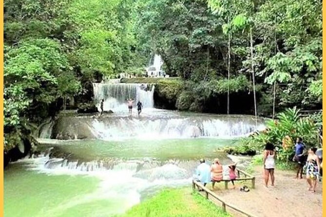 Y.S Falls and Black River Safari Tour - Pricing and Booking Options