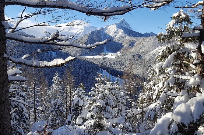 Zakopane - the Winter Wonderland - Private Tour From Krakow - Traveler Testimonials