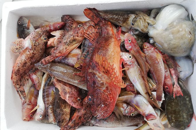 Zakynthos Full Day Traditional Eco-Fishing Tour - Cancellation Policy