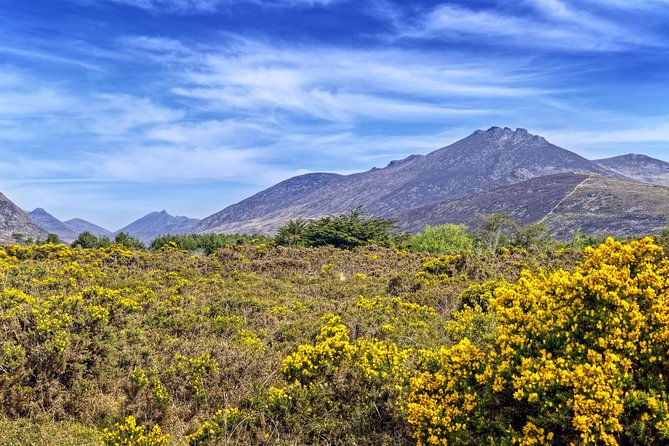 3-Day Discover Northern Ireland Small-Group Tour From Dublin - Common Questions