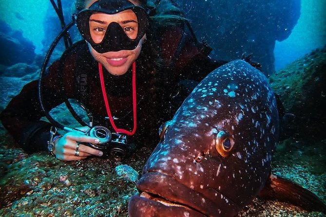 3 Days Open Water Course Scuba Diving - Certification and Benefits