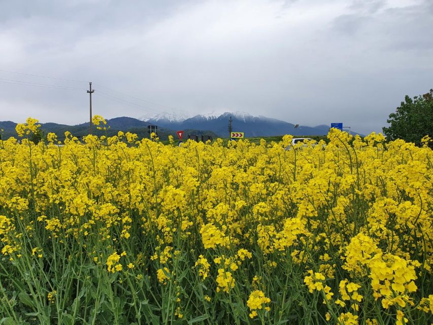 3 Days Private Guided Tour Including Transfagarasan Highway - Tour Features and Inclusions
