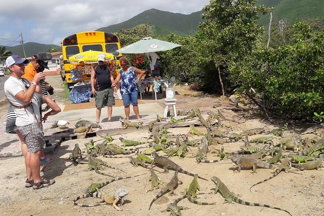 3-Hour Guided Jeep Tour Island Highlights and 1-Hour Relax by Beach - COVID Protocol Concerns