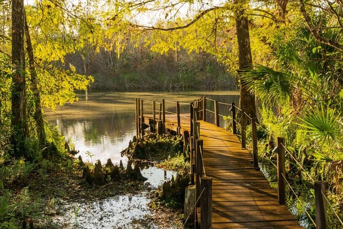 3 Hour Natural Florida Everglades Guided Bicycle Eco Tour - Tour Overview