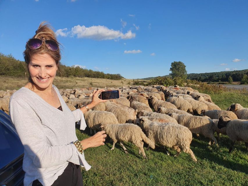 8 Days in Romania - Private Tour - Booking Details for the Tour