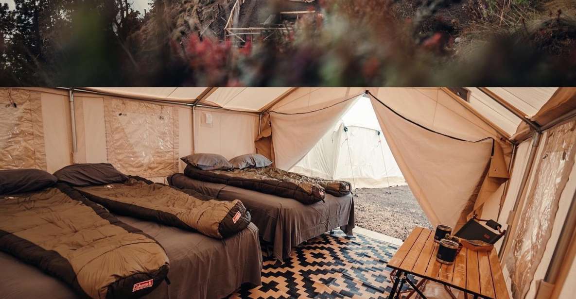 Acatenango Volcano Tour: 1 Night in Glamping - Experience Highlights of Glamping Adventure