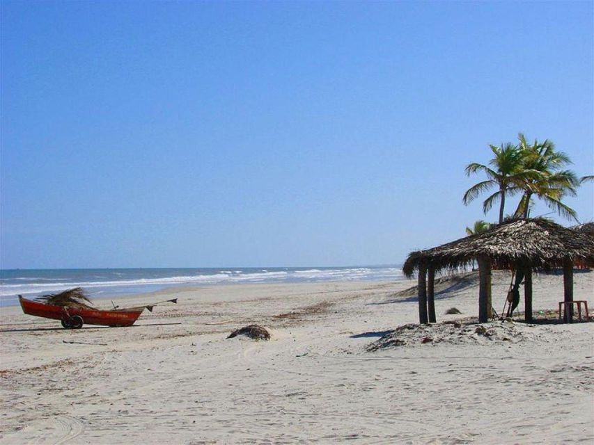 Aracaju: Tour to Mangue Seco - Good To Know