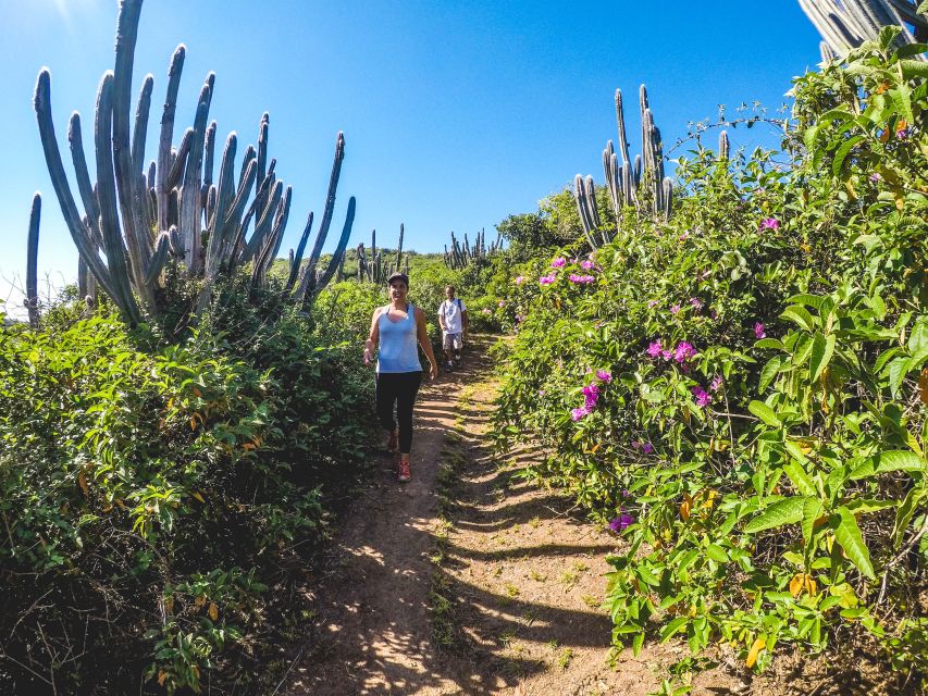 Armação Dos Búzios: Walk Through the Natural Pools in Búzios - Experience Highlights