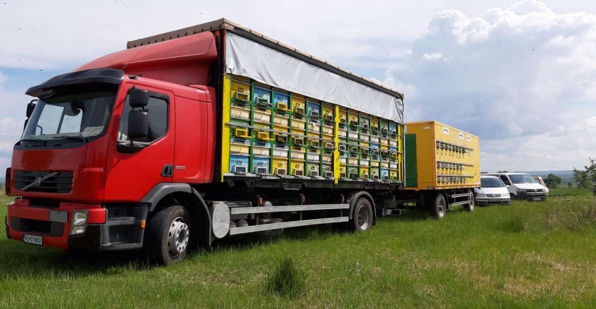 Bees in Romania - Private Beekeeping Lesson and Local Lunch - Beekeeping Lesson