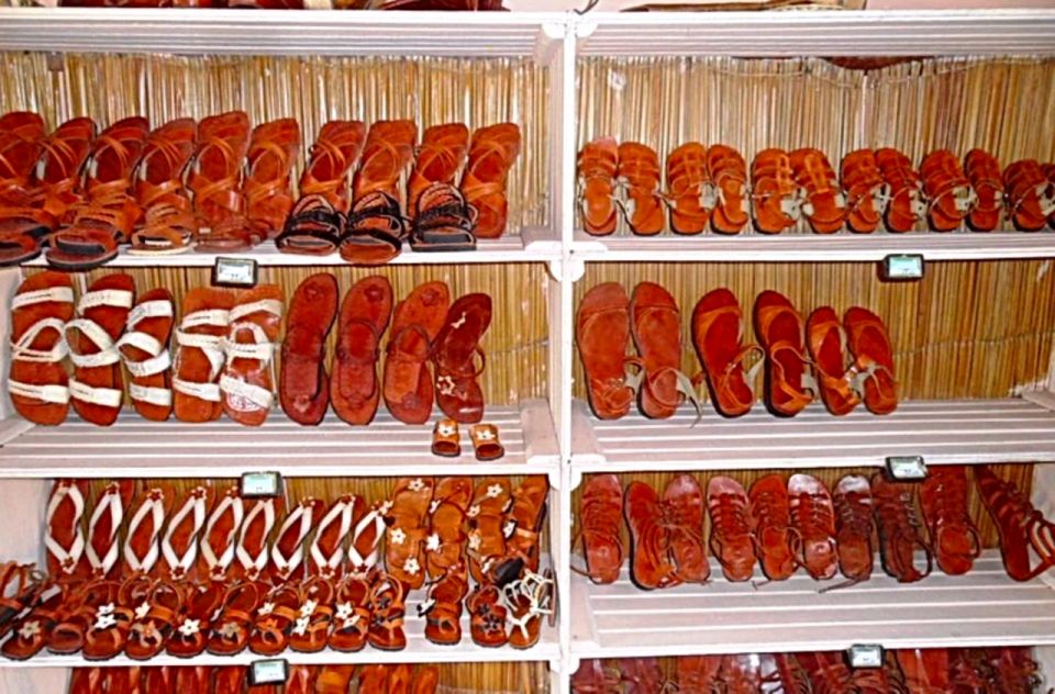 Belém: Marajó Island Day Trip With Buffalo Farm Visit - Experience Highlights