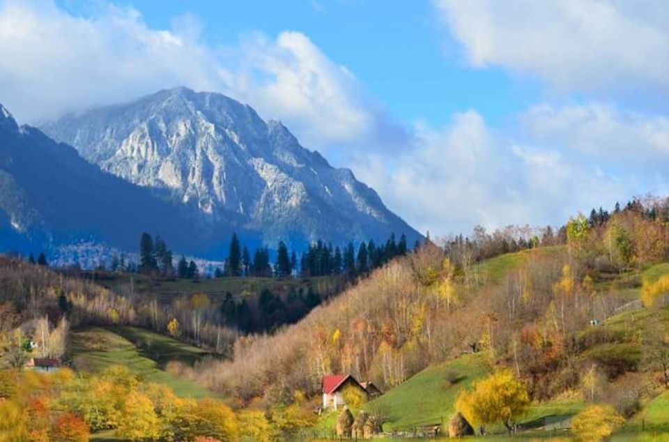 Brasov: Craiuli Mountains Hike & Bear Sanctuary Private Trip - Feedback