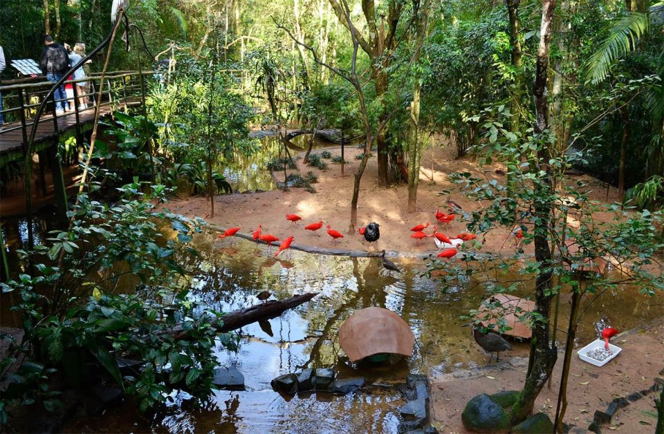 Brazilian Falls, Bird Park and Itaipu Dam - Good To Know