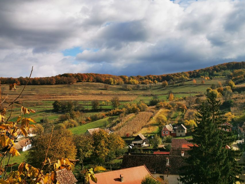 Bucharest: 4-Day Medieval Transylvania Tour - Inclusions