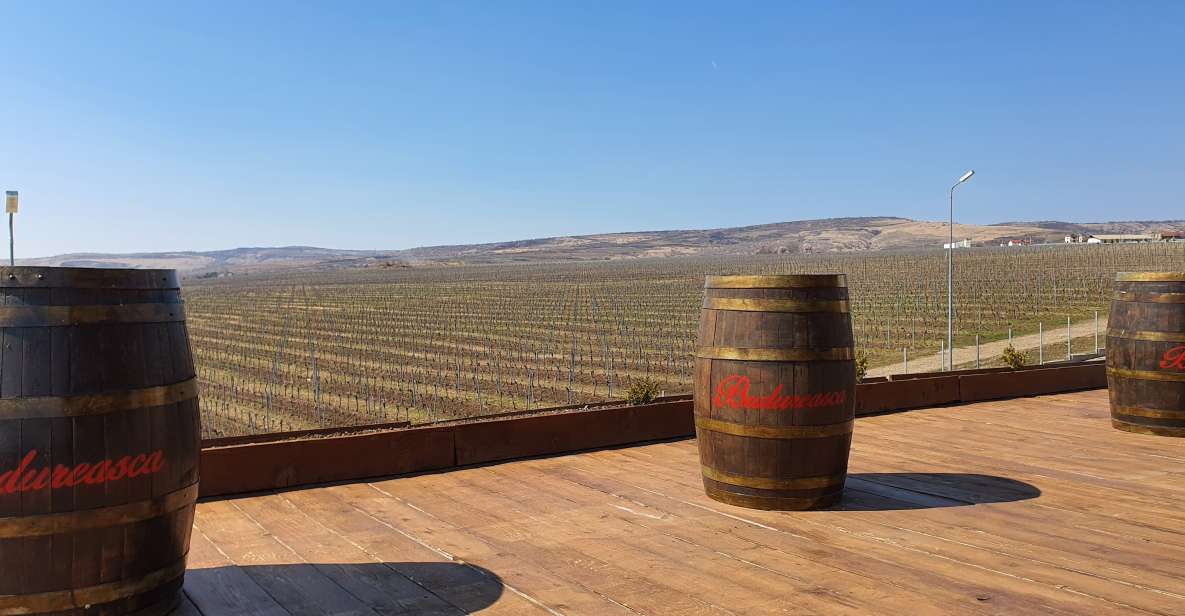 Bucharest: Dealu Mare Winery Private Trip With Wine Tasting - Experience Highlights