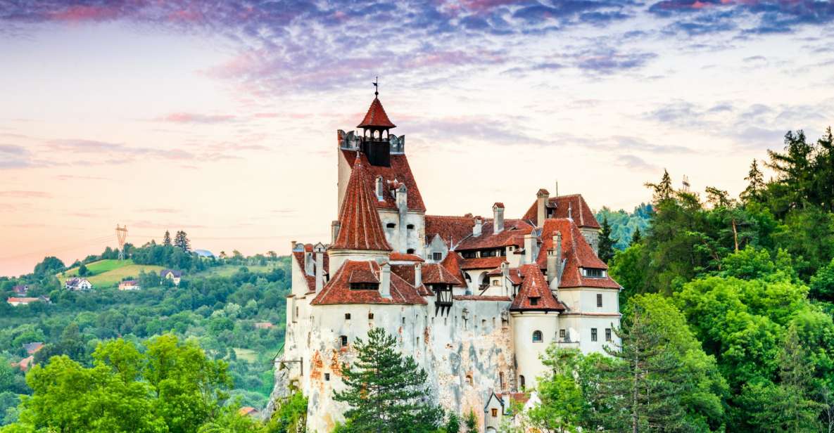 Bucharest: Dracula's Castle, Peles Castle, & Brasov Old Town - Good To Know