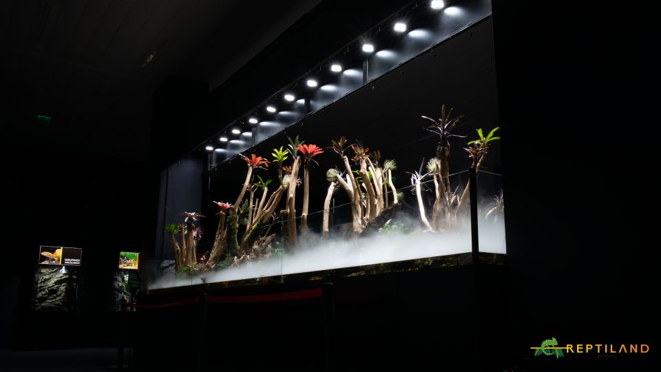 Bucharest: Reptiland Bucharest Entry Ticket - Ticket Details