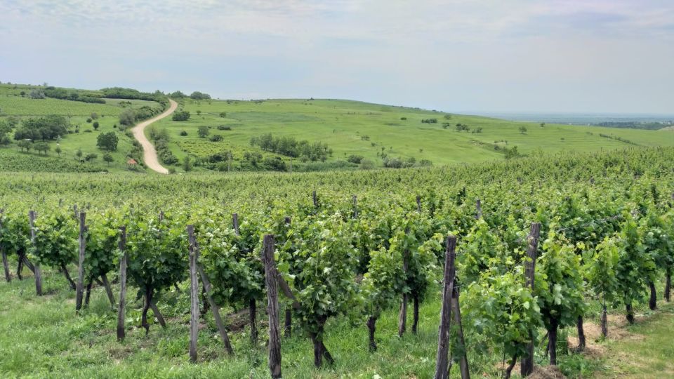 Bucharest: Wine Tasting, Bellu Mansion, and Thracian Tombs - Booking and Flexibility