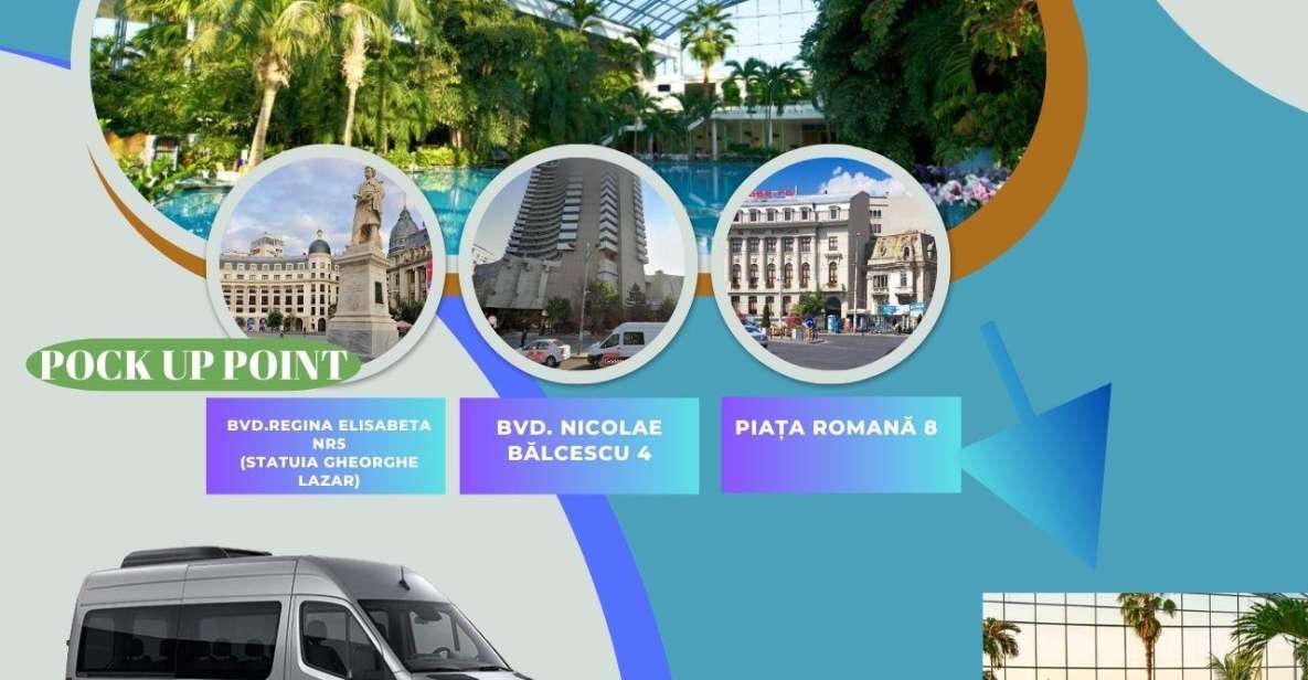 Bucuresti: Transfer Therme Bucuresti Different Hours - Customer Feedback