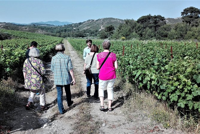 Butterflies Valley & Wine Tasting Experience Private Tour - Traveler Photos and Reviews