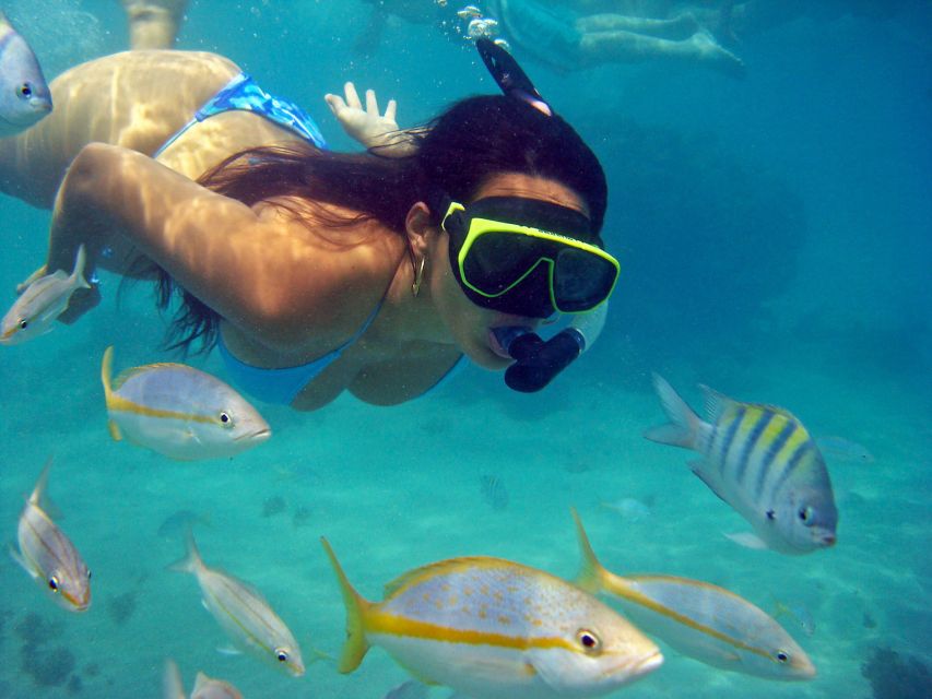 Búzios Day Trip From Rio De Janeiro - Review Summary