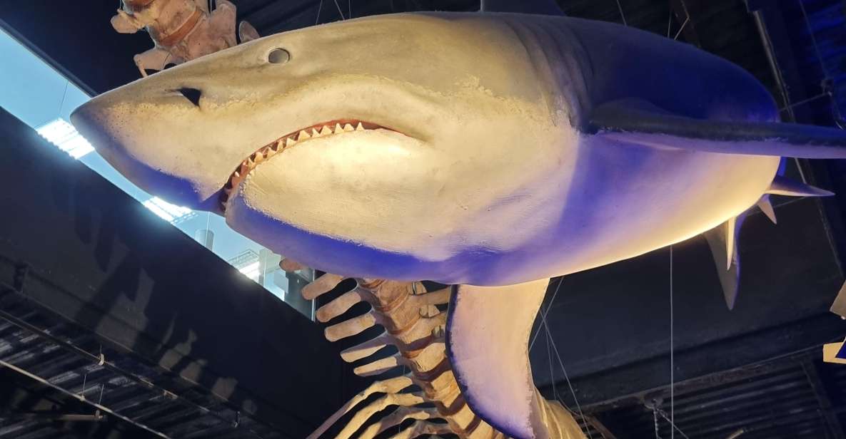 Cariocando at AquaRio & Olympic's Boulevard - Tour Itinerary Details