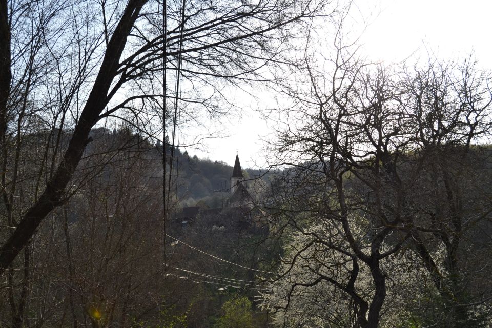 Cluj-Napoca: Day Trip in Saxon Wonderland - Itinerary Overview