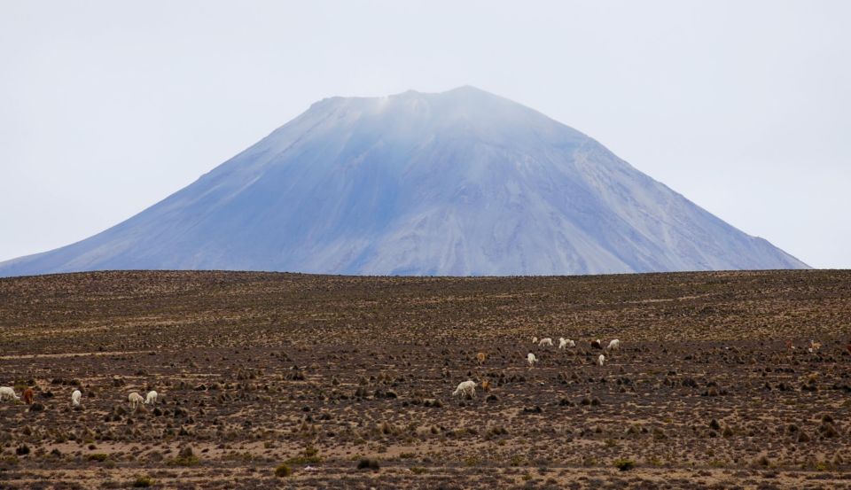 Colca Canyon and Puno: One-Way Bus Transport - Participant Selection and Date