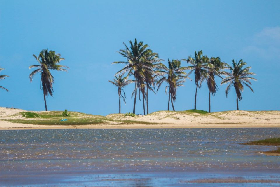 Cumbuco: Beach Trip With Pickup, Swimming, and Activities - Activity Details