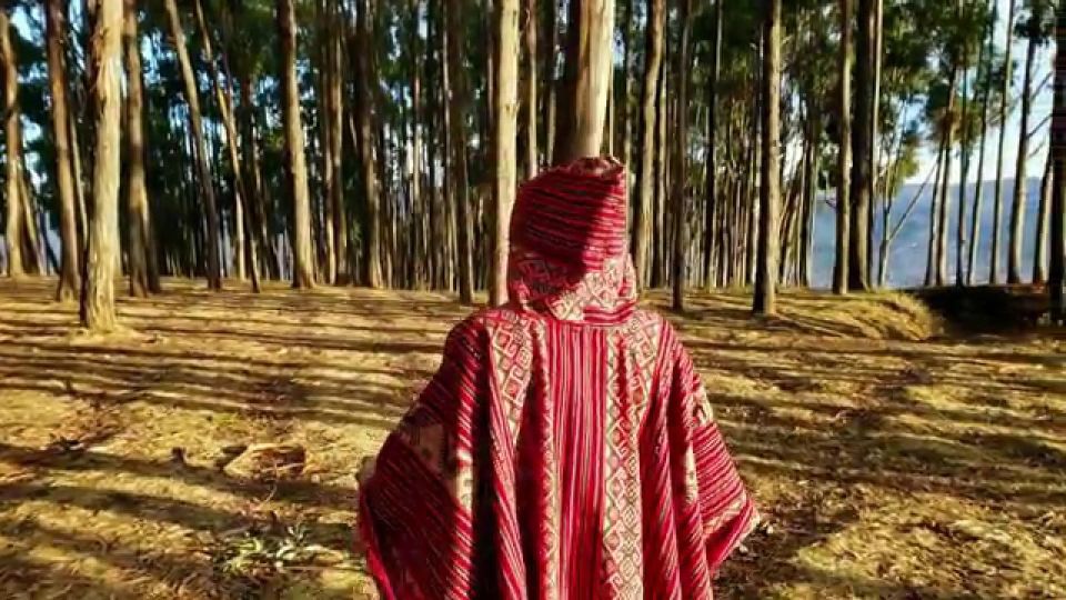 Cusco: Qenqo Eucalyptus Forest Andean Picnic Painting - Inclusions