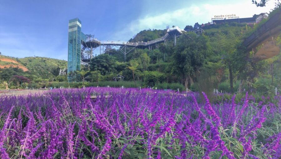 Da Lat: Countryside Chuon Chuon Bistro Entry Ticket - Dining Experience at Chuon Chuon Bistro