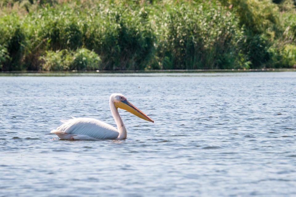 Danube Delta - 2-Day Tour From Bucharest - Itinerary Highlights