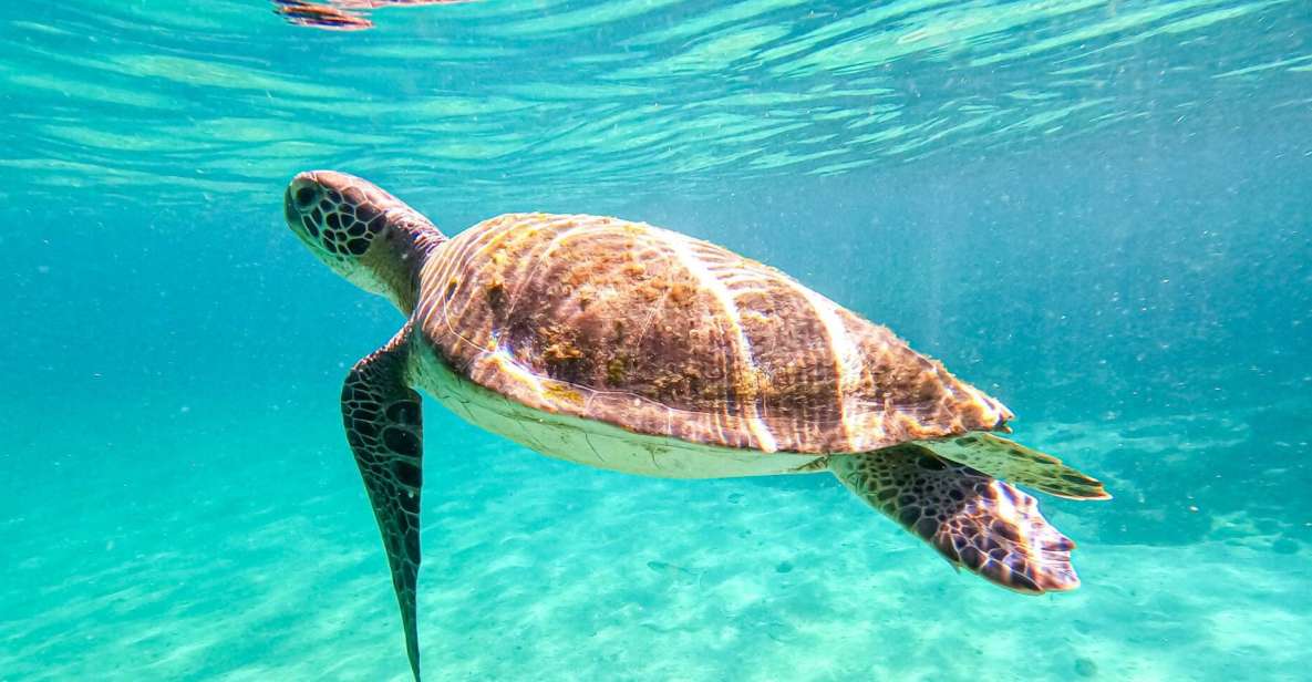 Daylong Excursion to Angra Dos Reis and Ilha Grande - Location & Experience