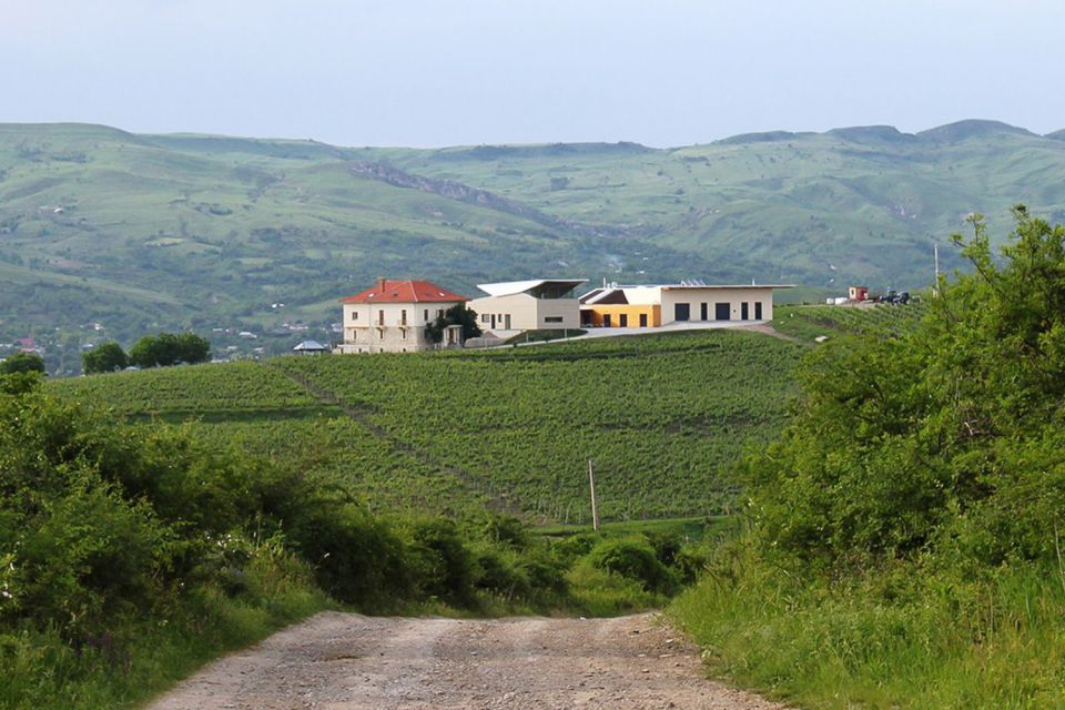 Dealu Mare Wineries: Wine Tasting Tour on the Old Wine Road - Good To Know