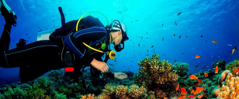 Deep Dive Discovery - Scuba Diving in Paracas - Inclusions