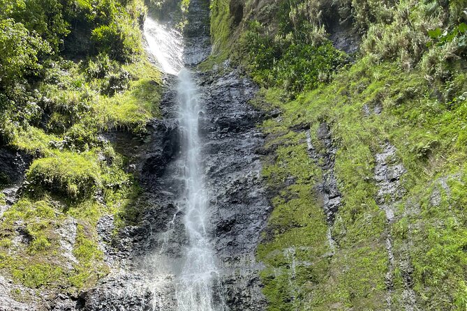 Discovering the Emblematic Sites of Tahiti - Indulging in Tahitian Gastronomy