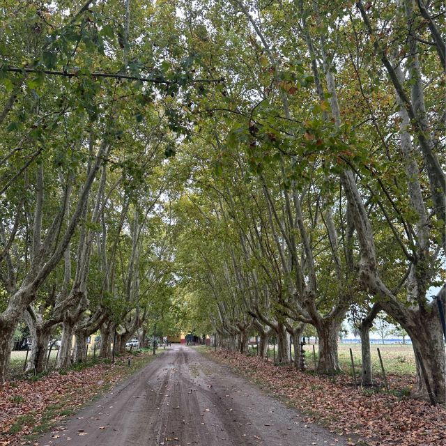 Enjoy a Rural Experience in a Vineyard Near Buenos Aires - Experience a Rural Getaway in Buenos Aires