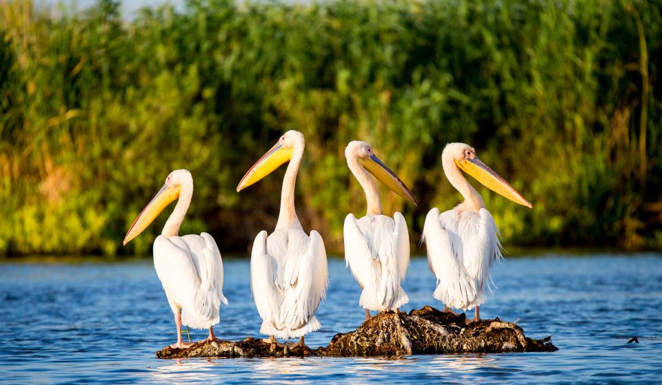 Explore Danube Delta and Black See in 2 Day Private Tour - Attractions